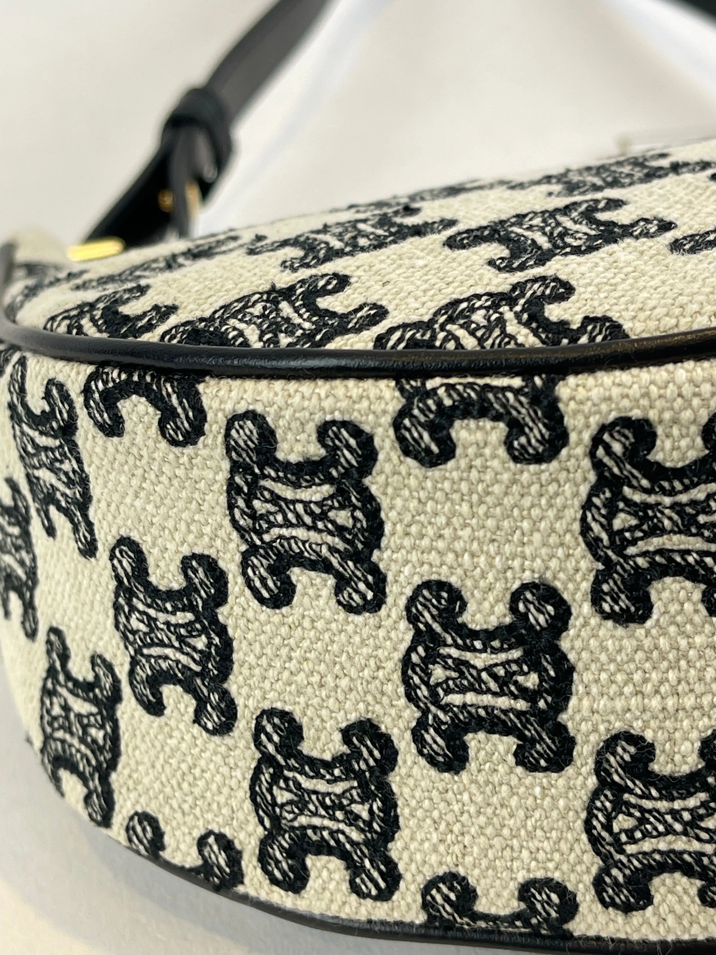 Celine Monogram Canvas Ava with Triomphe Embroidery Shoulder Bag