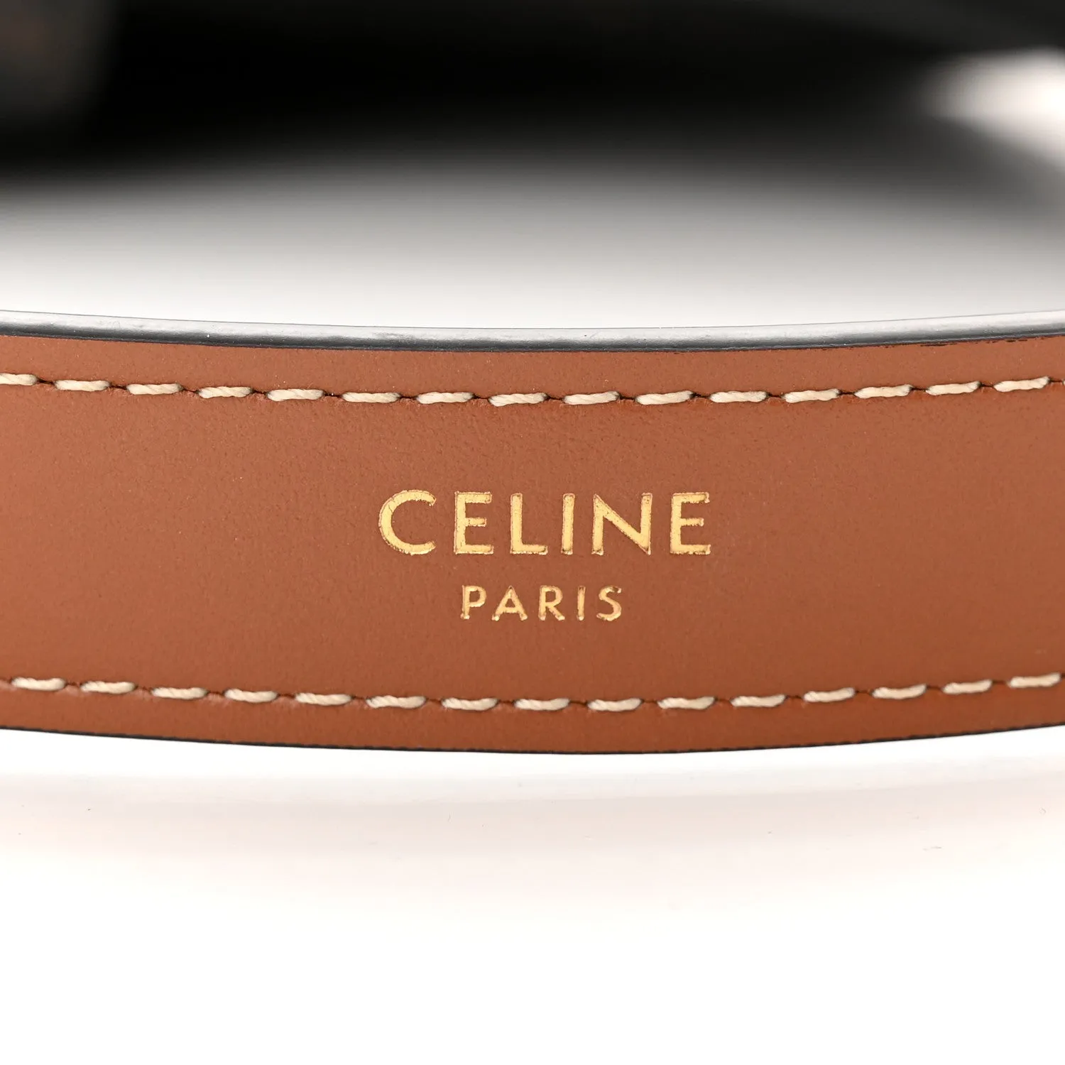 CÉLINE CALFSKIN & COATED CANVAS MEDIUM AVA TRIOMPH HOBO BAG