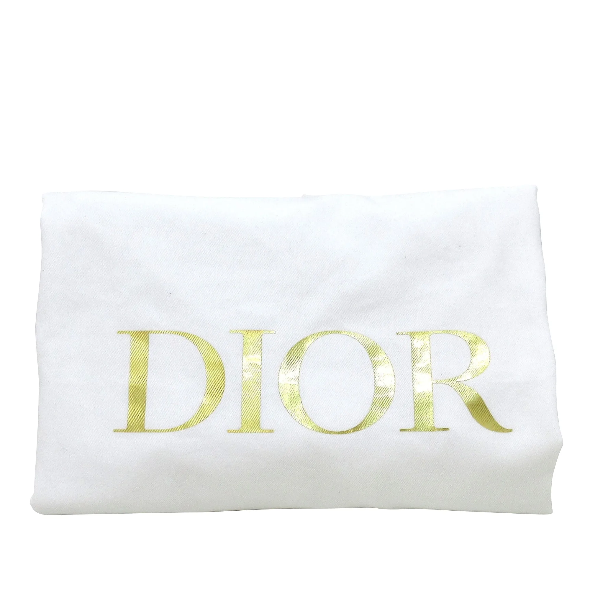 DIOR Large Oblique Book Tote Tote Bag