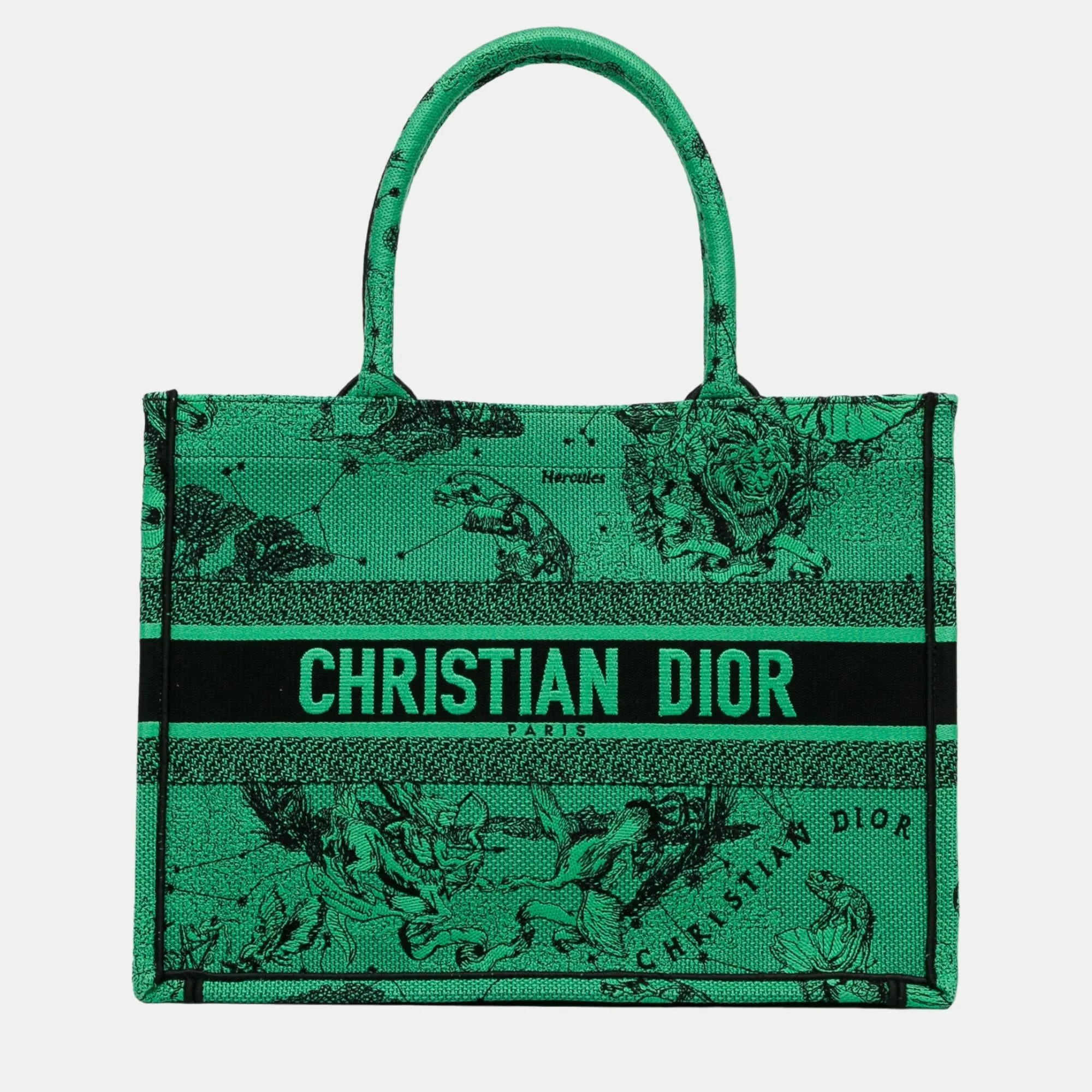 Green Medium Embroidered Canvas Book Tote